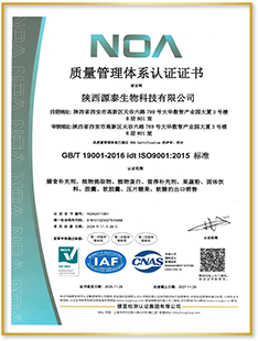 ISO9001